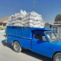 گچ شمشه گیپتون الاهلی فولاد نو حبیب کازرون