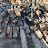 خریدار انواع چوب سقفی و باغی خشک و تر در محل شما|خدمات باغبانی و درختکاری|کرمانشاه, |دیوار