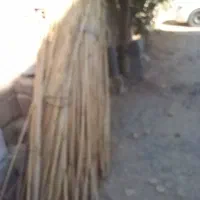 نی تمیز و پاک شده|سازهای سنتی|ایوان, |دیوار