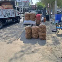 خرید فروش گردو از ضعیف گرفته تا خوب درجه یک|خوردنی و آشامیدنی|درب بهشت, |دیوار