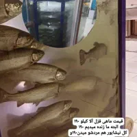 صید ماهیگیری تو نیشابور