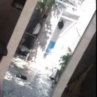 کمد نونو|جاکفشی، کمد، دراور|خوی, |دیوار