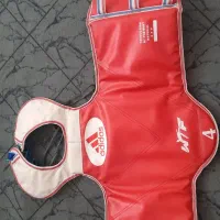 هوگو سالم و تمیز