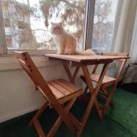 میز و صندلی چوبی تاشو