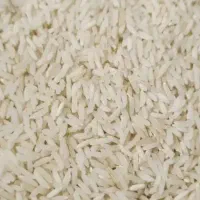 برنج هاشمی محلی از زمین خودمون