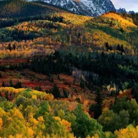 مشاوره و راهنمایی
