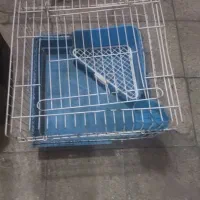 قفس خوکچه هندی