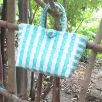 ساک وکیف|کیف، کفش، کمربند|بندر انزلی, پیل علی باغ|دیوار