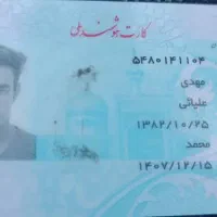 مدارک گمشده کارت ملی. مهدی علیایی