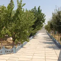تهاتر-باغچه-پدم-محمدشهر-با-خودرو-یا-آپارتمان50