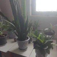 خانه 80متری برای اجاره در خیابان مطهری کوچه 2