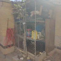 جایگاه و لانه حیوان ابعاد بزرگ