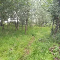 زمین-جنگلی-کوهپایه-ای-مسکونی-ویلاسازی-شده