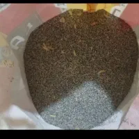 دانه خوراکی خشخاش|خوردنی و آشامیدنی|صدرا-فارس, فاز ۱|دیوار