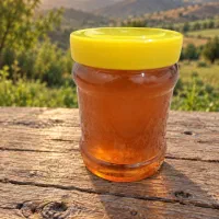 عسل طبیعی کوهستان زنجان، مستقیم از زنبوردار