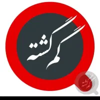 گردنی طلا گم شده