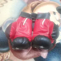 دستکش بوکس|تجهیزات ورزشی|مراغه, |دیوار