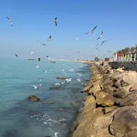 استخدام منشی و کارپرداز