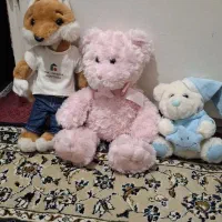 خرس در حد نو|اسباب‌بازی بچه|رباط‌کریم, رباط‌کریم|دیوار