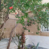 ویلایی نقلی