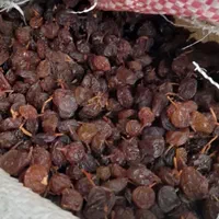 فخری|خوردنی و آشامیدنی|کرج, احدآباد|دیوار