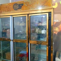 یخچال جهان سرما درحدنونو
