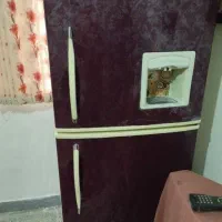 فروشی|کوهنوردی و کمپینگ|نهاوند, |دیوار