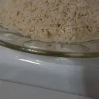 برنج امسال درگز|خوردنی و آشامیدنی|مشهد, امیریه|دیوار