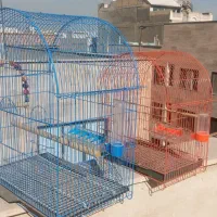 قفس پرنده|لوازم جانبی حیوانات|اندیشه, اندیشه فاز ۳|دیوار