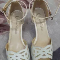 دو عدد کفش مجلسی