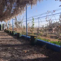 خانه،باغ ویلا