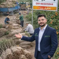 فروش نهال به صورت حضوری و ارسال به تمام نقاط ایران