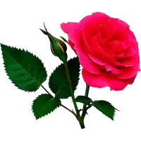 راهنمایی میخوام