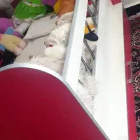 تخت بچه
