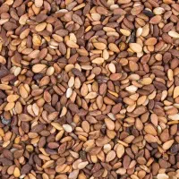 همکاری با کشاورزان و عمده فروشان کنجد