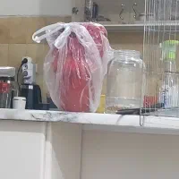 لوستر فانتزی ۶ شاخه|لوستر و چراغ آویز|اصفهان, بهارستان (مخابرات)|دیوار