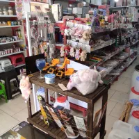 پلاسکو خانواده