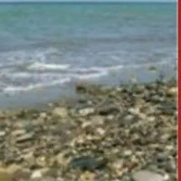 تدریس خصوصی ریاضی و زبان انگلیسی