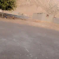 فروش منزل مسکونی|فروش خانه و ویلا|شباب, |دیوار