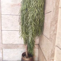 درختچه بید مجنون|گل مصنوعی|تهران, تهرانپارس غربی|دیوار