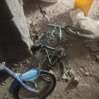 دو عدد دوچرخه