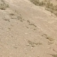 زمین-کشاورزی-مناسب-باغچه