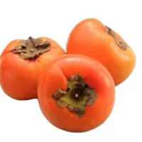 خرمالو تازه و رسیده و قابل حمل *ارسال رایگان*