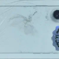 گوشی ایفون ۱۶|موبایل|صومعه‌سرا, |دیوار