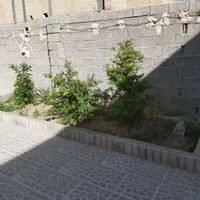 فروش خانه زیباشهر|فروش خانه و ویلا|جهرم, |دیوار