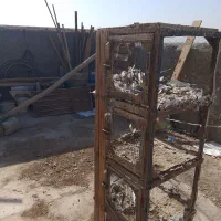 جفت کن کفتر|لوازم جانبی حیوانات|زارچ, |دیوار