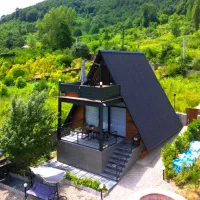 اجاره کلبه سوییسی جکوزی دار ویو جنگلی