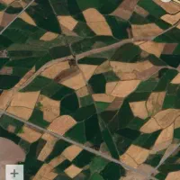 خام یونجه چراندن گوسفند۴۵ روز بمونم