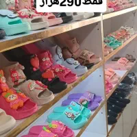 زنانه، مردانه، بچگانه زیرفاکتور290هزار