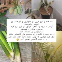 فروش خاک گل|گل و گیاه طبیعی|بوکان, |دیوار